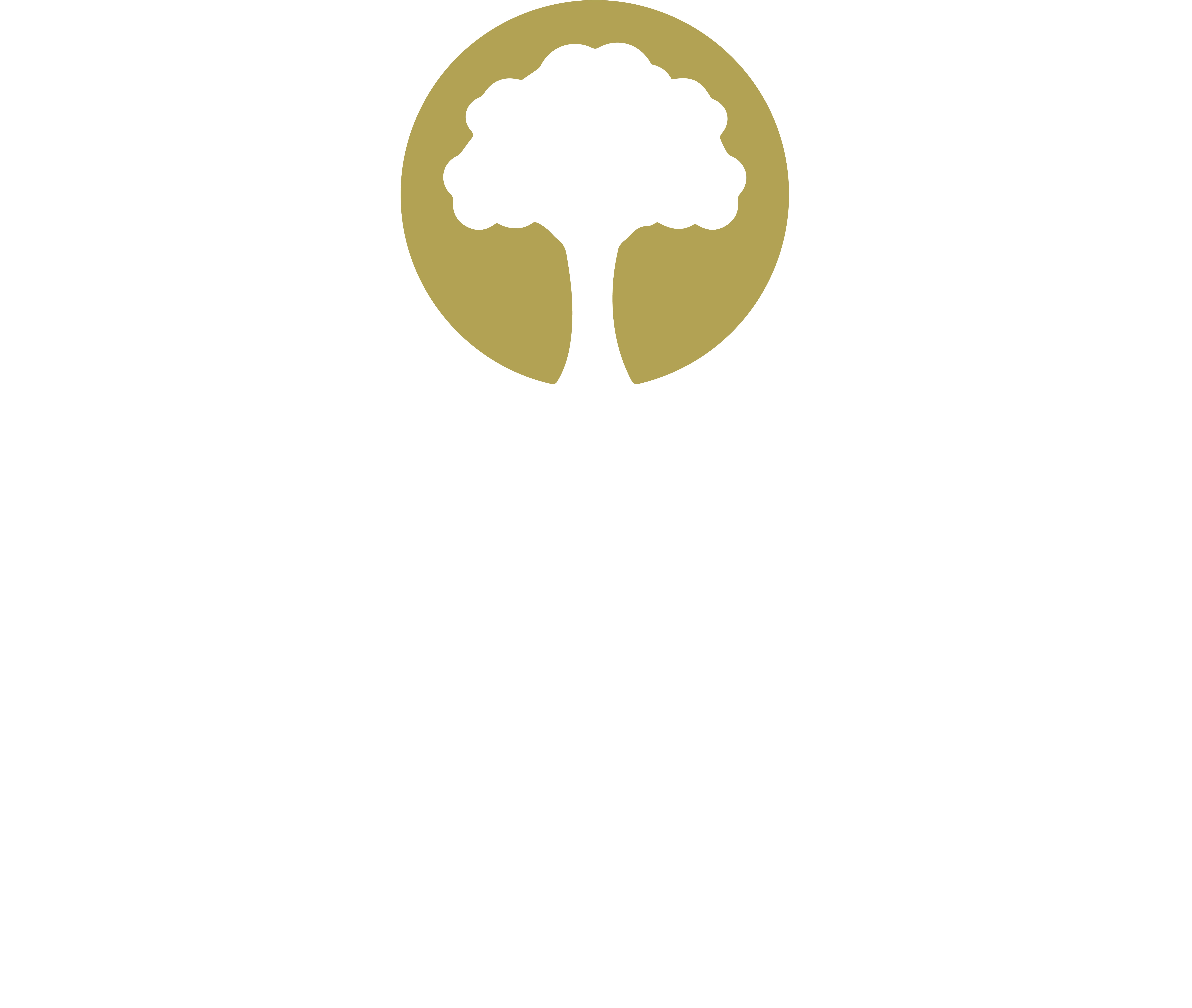 BARK Brick & Block